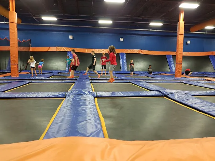 Sky Zone Trampoline Park Picture 1
