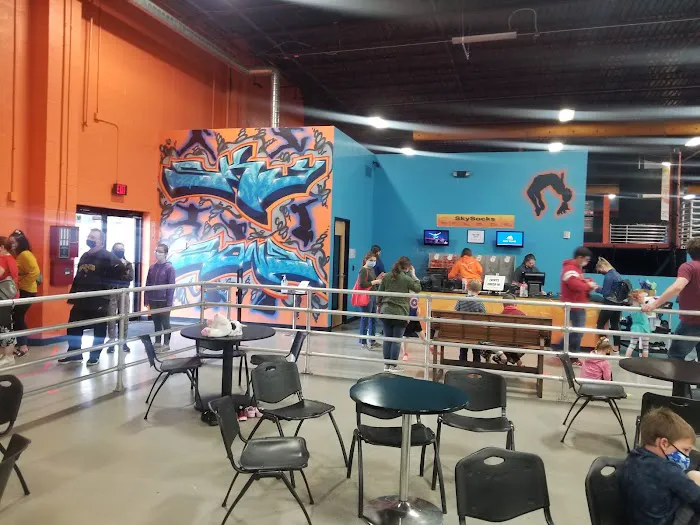 Sky Zone Trampoline Park Picture 4
