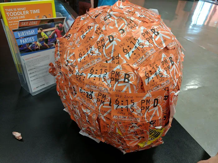Sky Zone Trampoline Park Picture 6