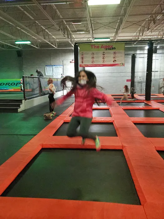 Urban Air Trampoline and Adventure Park Picture 8