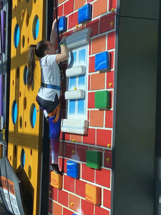 Urban Air Trampoline and Adventure Park Picture 9