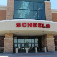 Scheels ico