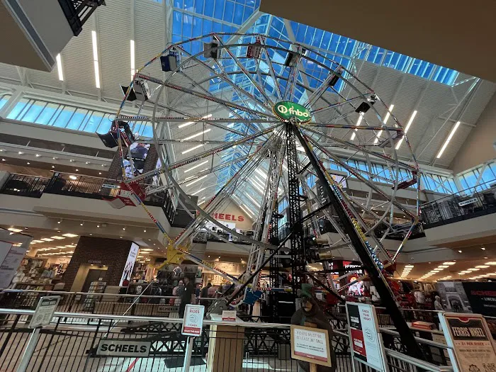 Scheels Picture 3
