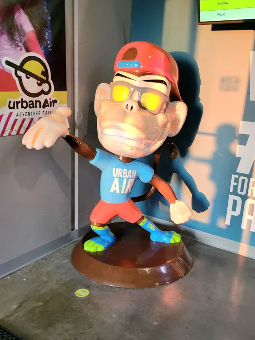 Urban Air Trampoline and Adventure Park Picture 5