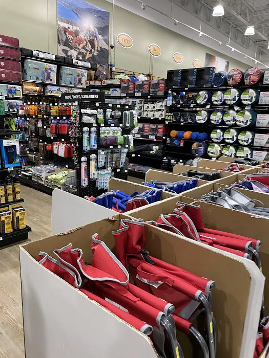 DICK'S Sporting Goods Picture 10