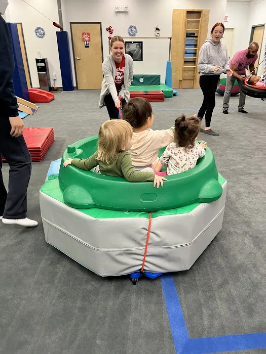 My Gym Children's Fitness Center Picture 4