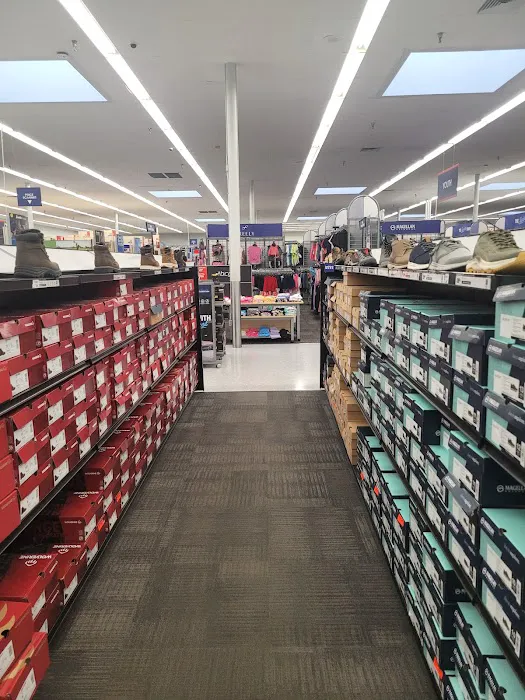 Academy Sports + Outdoors Picture 6