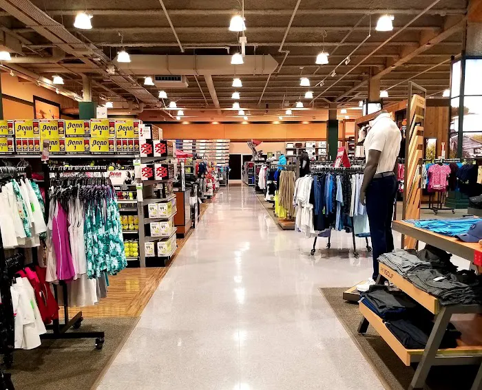 DICK'S Sporting Goods Picture 5