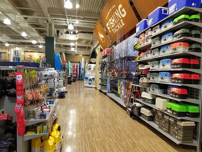 DICK'S Sporting Goods Picture 4