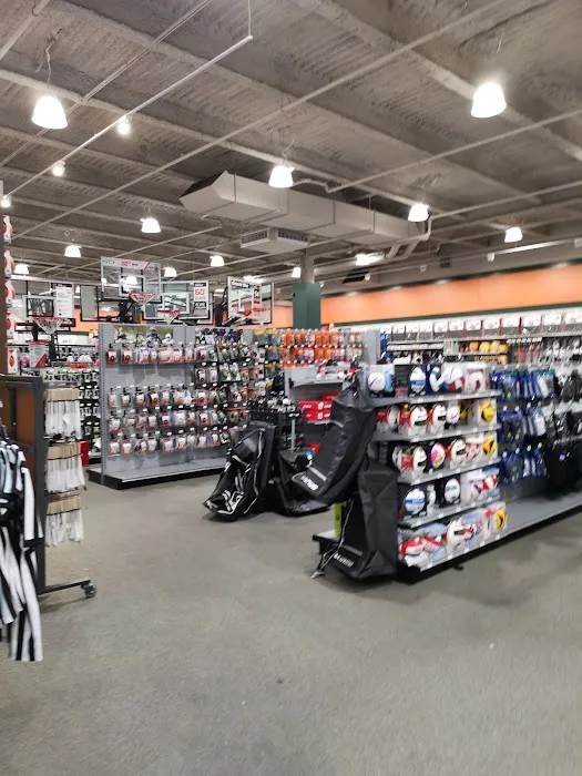 DICK'S Sporting Goods Picture 10