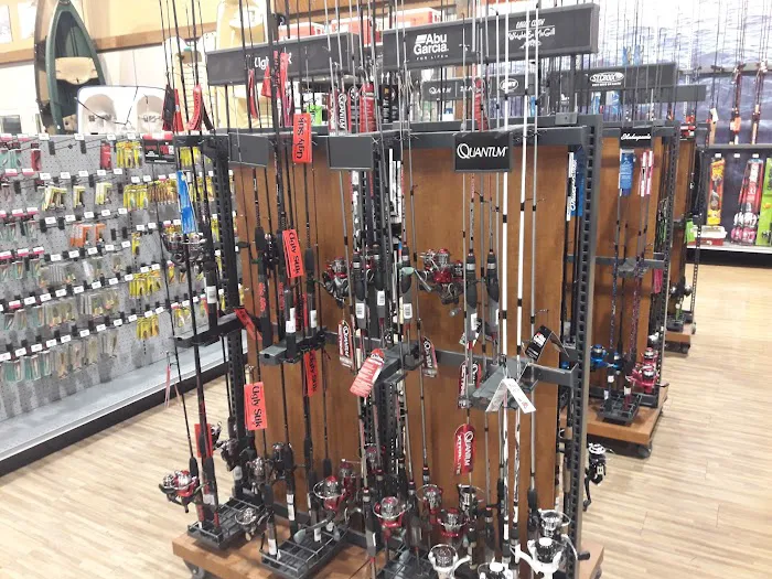 DICK'S Sporting Goods Picture 8