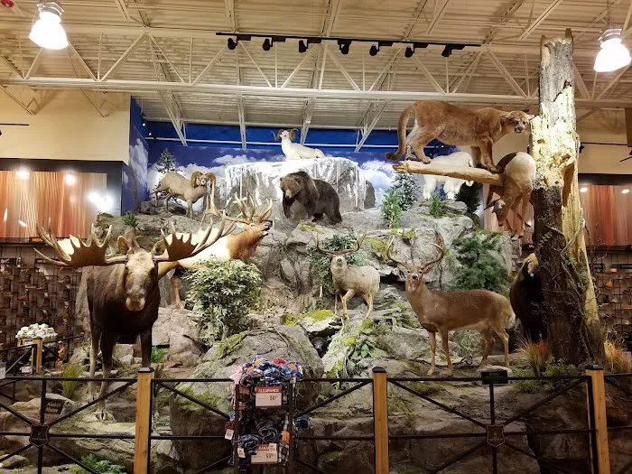 DICK'S Sporting Goods Picture 6