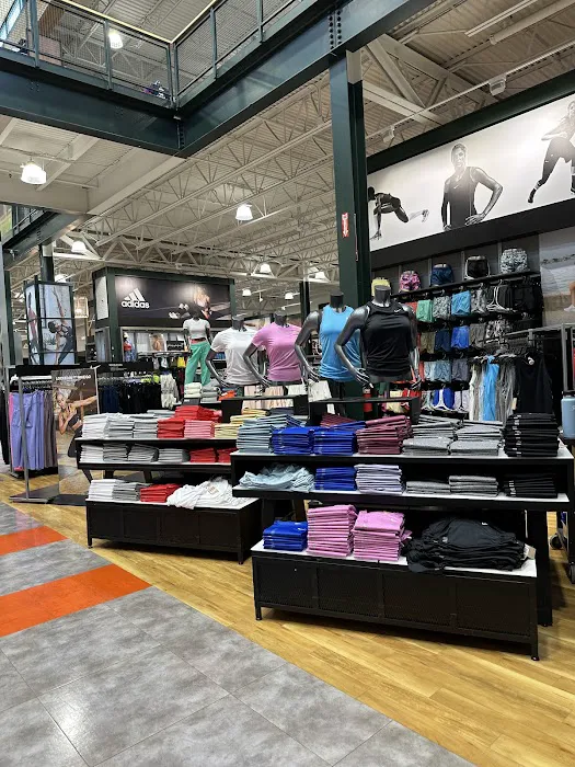 DICK'S Sporting Goods Picture 4