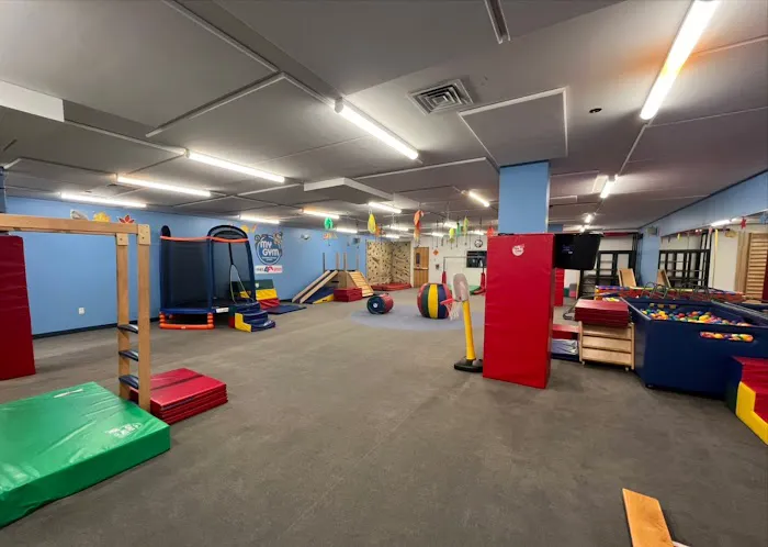 My Gym Children's Fitness Center Boston Picture 1