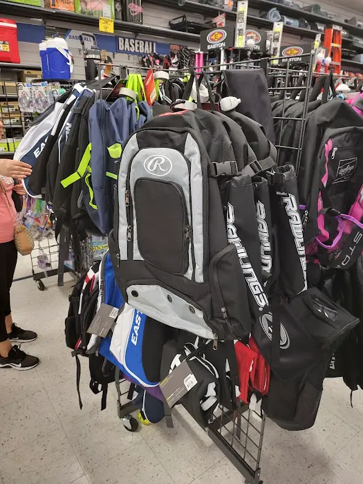 Big 5 Sporting Goods Picture 1