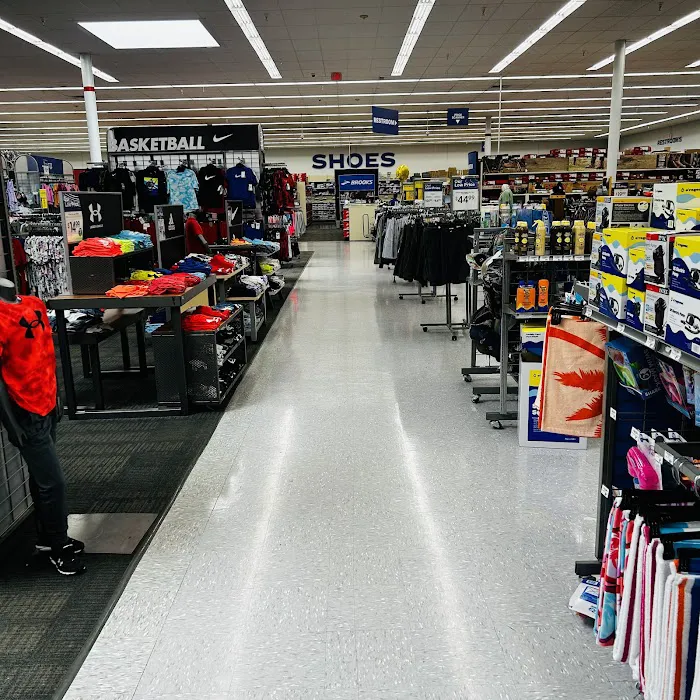Academy Sports + Outdoors Picture 3