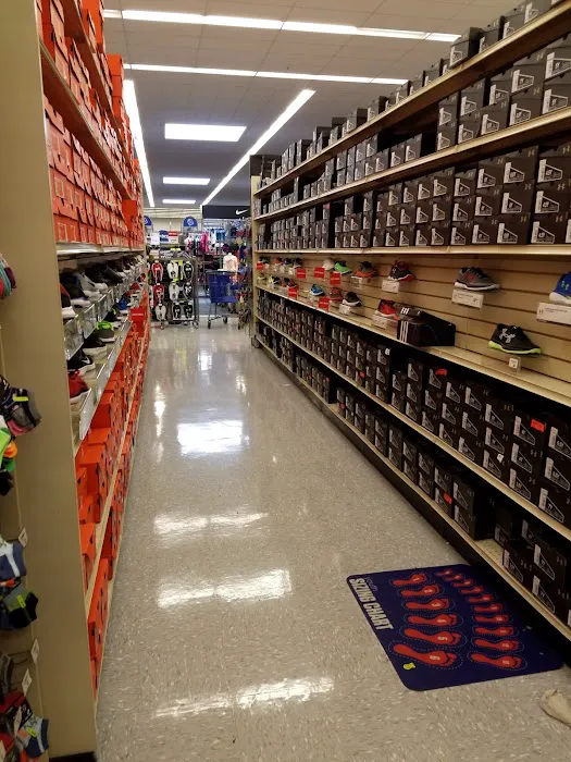 Academy Sports + Outdoors Picture 5
