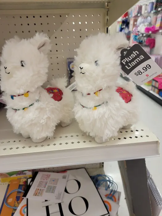 Target Picture 6