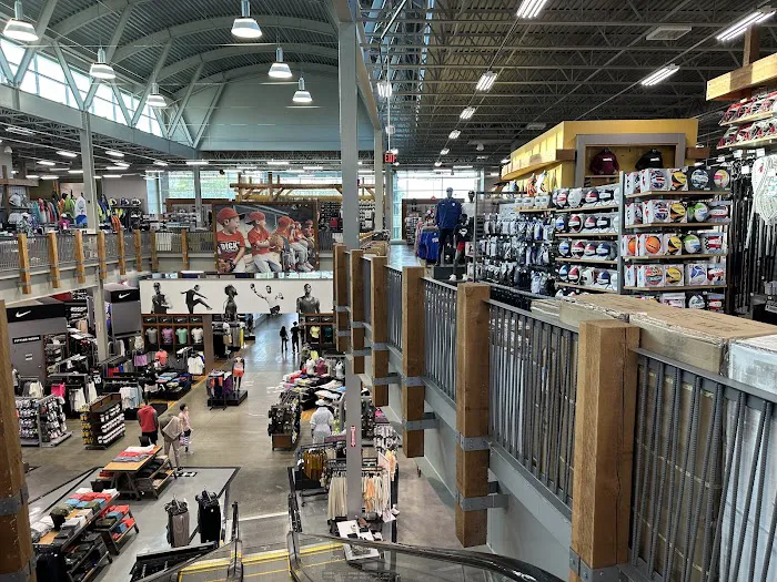 DICK'S Sporting Goods Picture 10