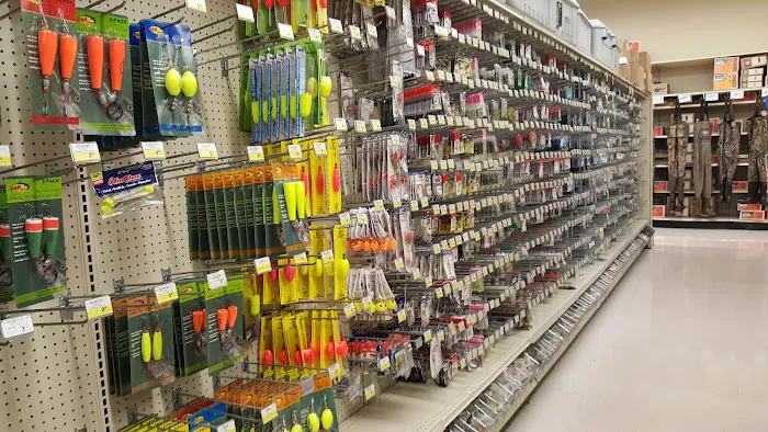 Academy Sports + Outdoors Picture 6