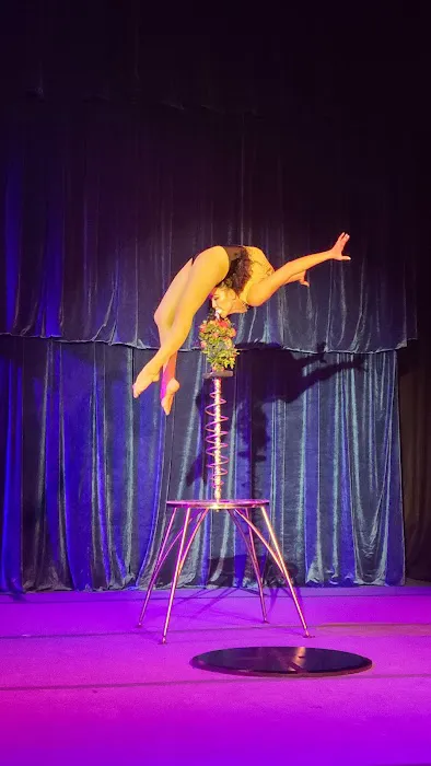 MSA & Circus Arts Picture 2