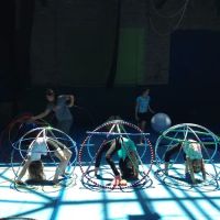 MSA & Circus Arts ico