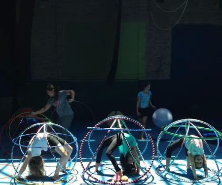 MSA & Circus Arts