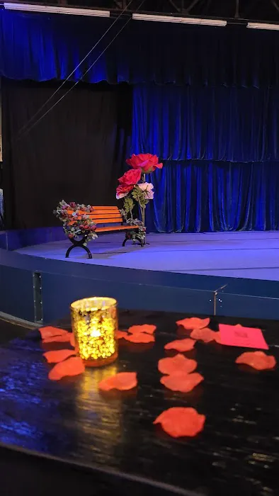 MSA & Circus Arts Picture 10