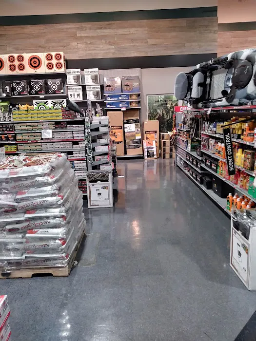 DICK'S Sporting Goods Picture 3