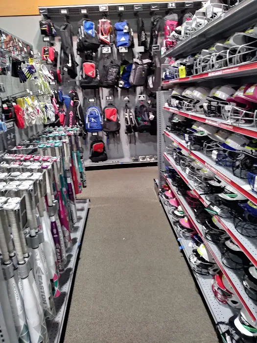 DICK'S Sporting Goods Picture 6