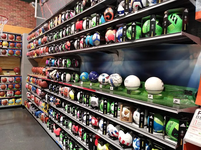 DICK'S Sporting Goods Picture 10