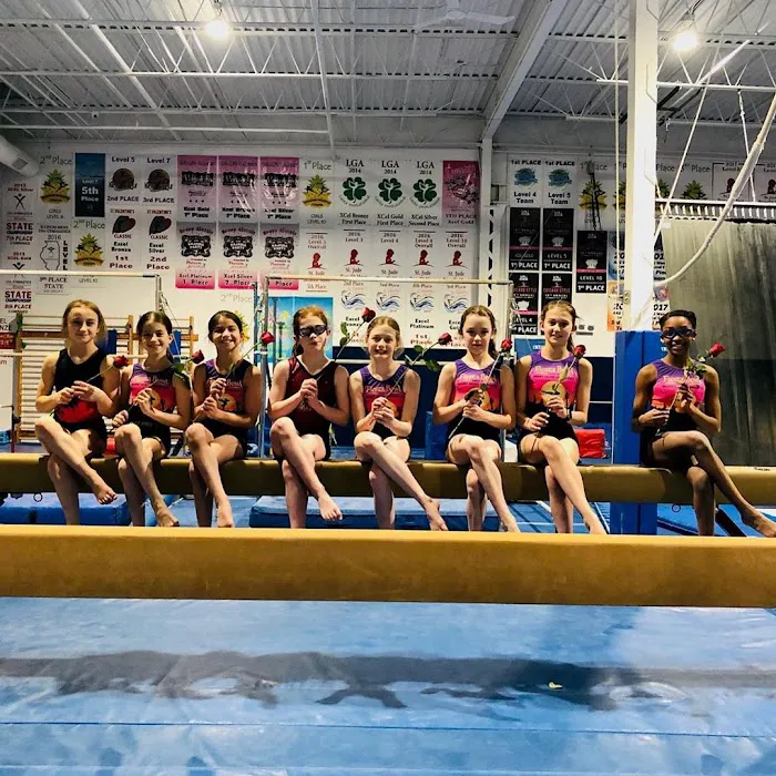 IK Gymnastics (Gym B) Picture 3