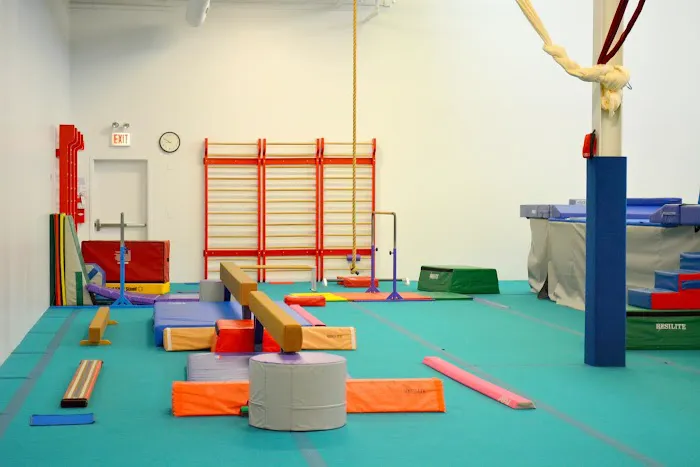 IK Gymnastics (Gym B) Picture 9