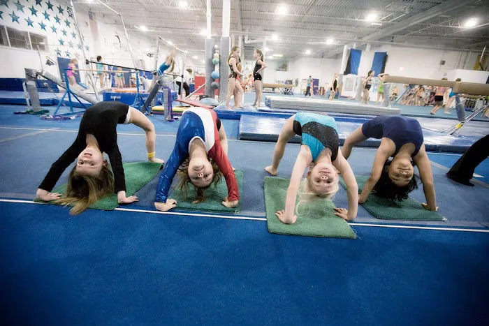 Flying High Sports & Rec Center Picture 2