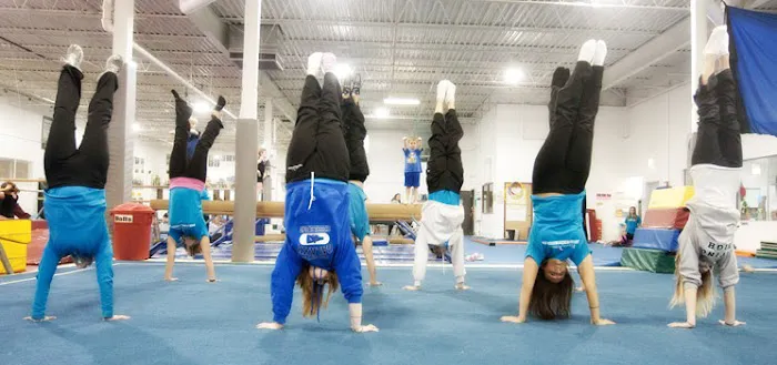 Flying High Sports & Rec Center Picture 9