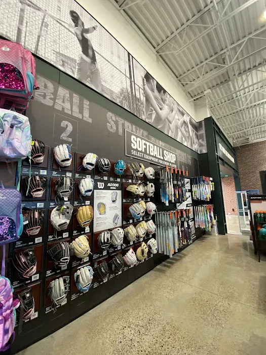 DICK'S Sporting Goods Picture 3