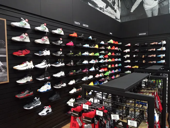 DICK'S Sporting Goods Picture 5