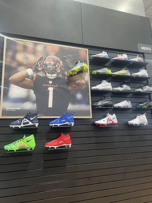 DICK'S Sporting Goods Picture 8