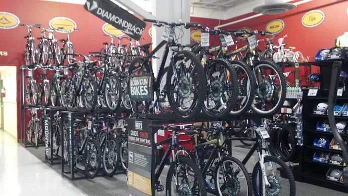 DICK'S Sporting Goods Picture 5
