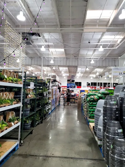 Costco Wholesale Picture 8